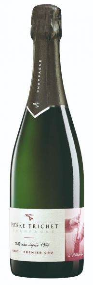 Champagne L'Authentique brut Pierre Trichet Arto Vini